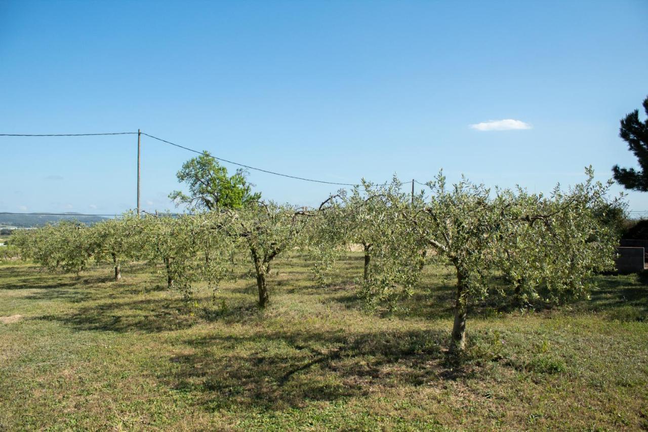 Vila Romegosa Benestar Sant Marcal Exteriér fotografie