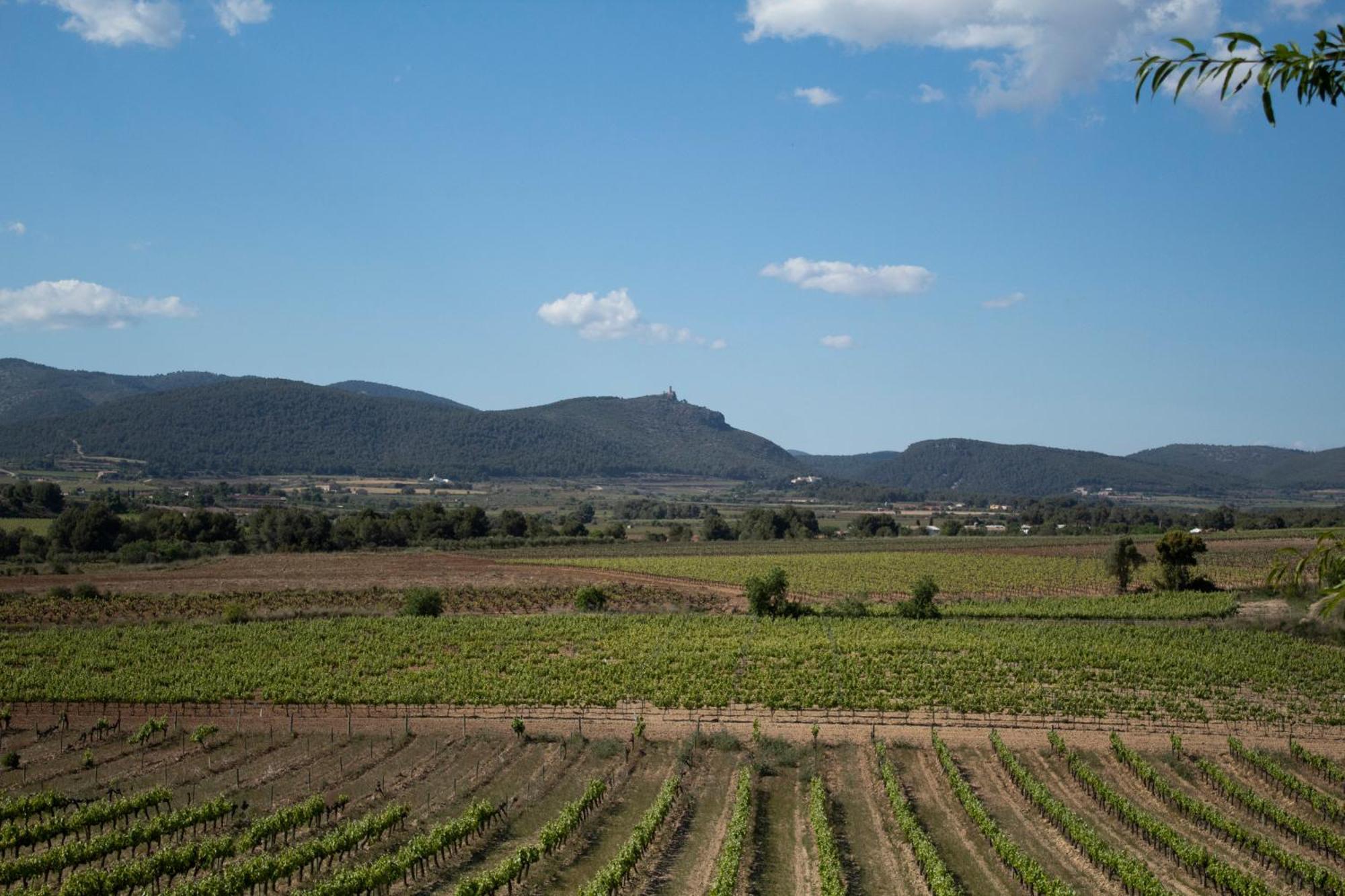 Vila Romegosa Benestar Sant Marcal Exteriér fotografie